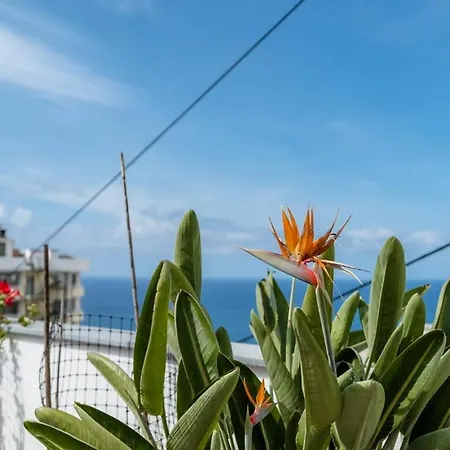 Guestready - Anakaj House Funchal (Madeira)