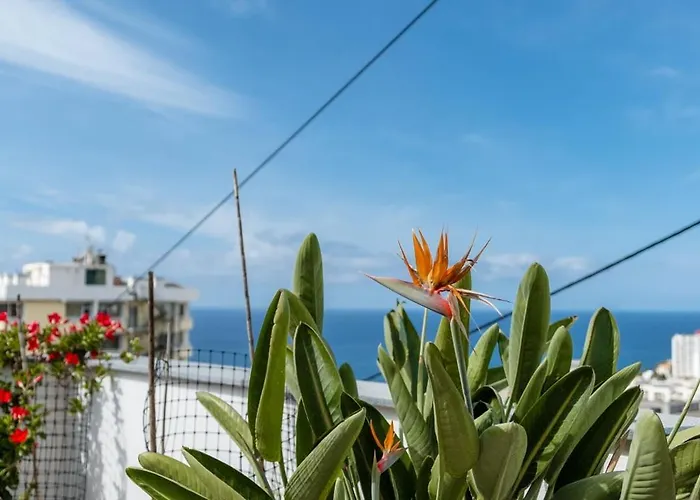 Guestready - Anakaj House Funchal