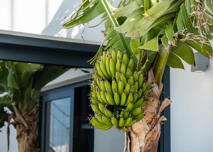 Guestready - Anakaj House Hébergement de vacances Funchal (Madeira)