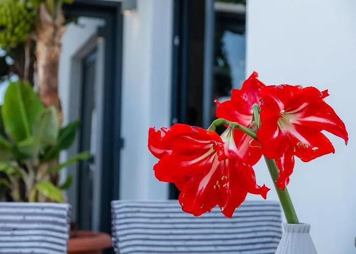 Guestready - Anakaj House Hébergement de vacances Funchal (Madeira)