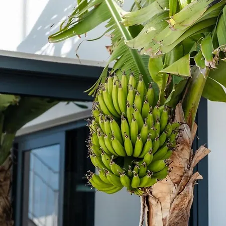 Guestready - Anakaj House Dom wakacyjny Funchal (Madeira)