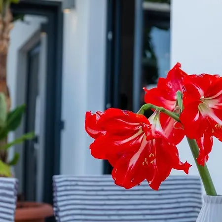 Guestready - Anakaj House Pensjonat Funchal (Madeira)